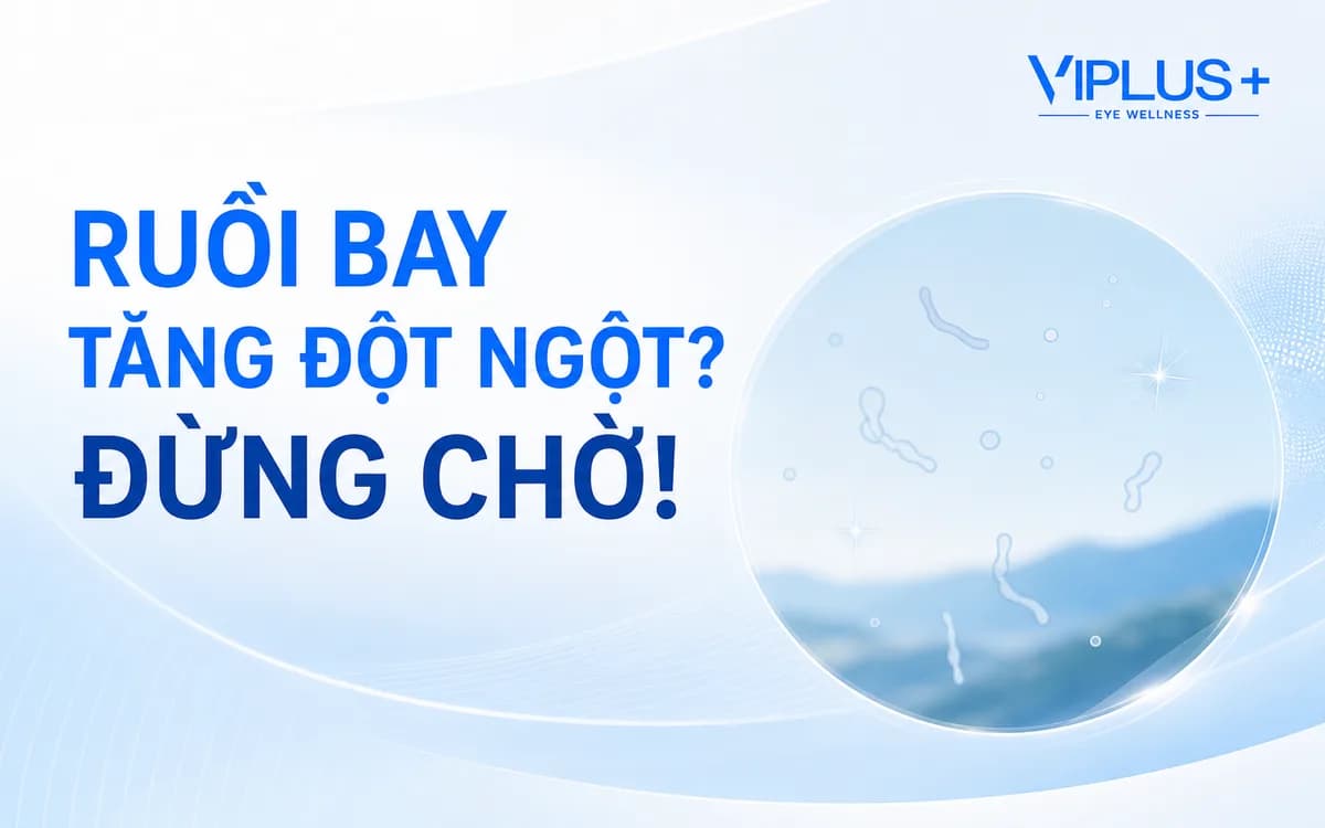 Ruồi bay và chớp sáng trước mắt: Khi nào cần khám khẩn cấp?